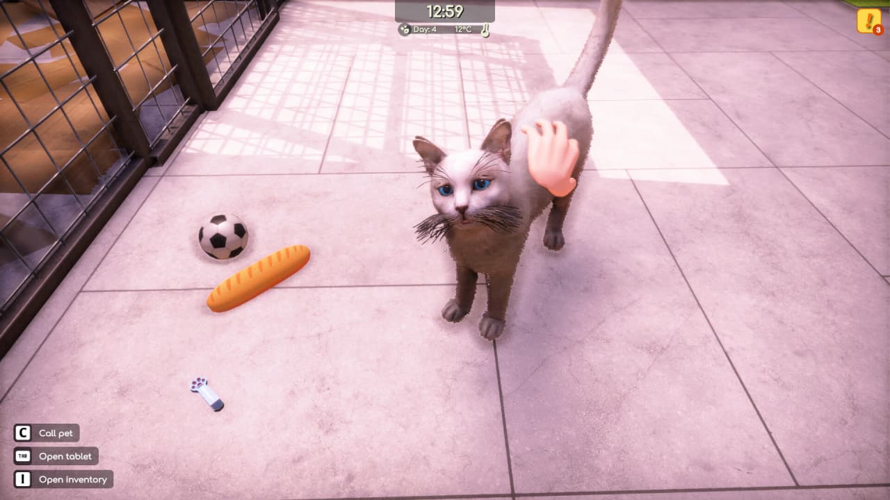 Animal Shelter 2 - скриншот 2