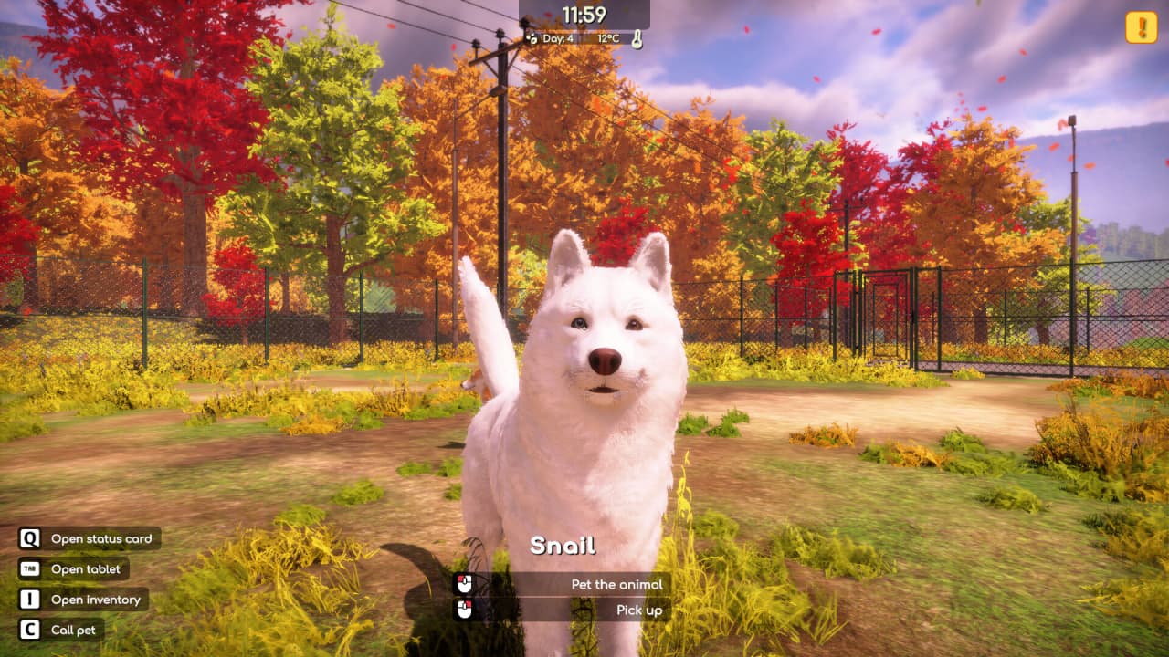 Animal Shelter 2 - скриншот 12