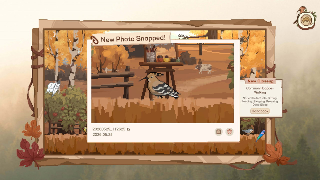 Birdwatching Notebook - скриншот 7