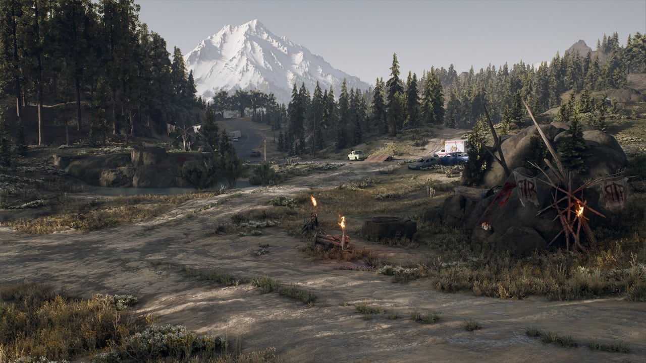 Days Gone - скриншот 8