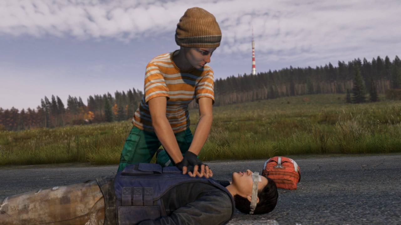 DayZ - скриншот 2