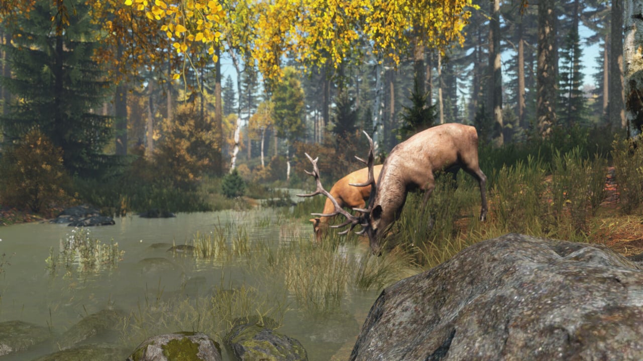 DayZ - скриншот 6