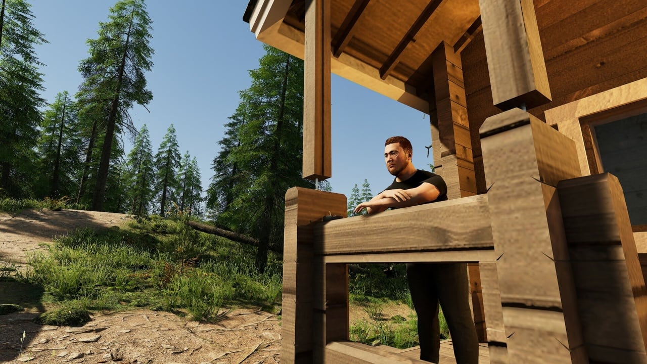 Finnish Cottage Simulator - скриншот 7