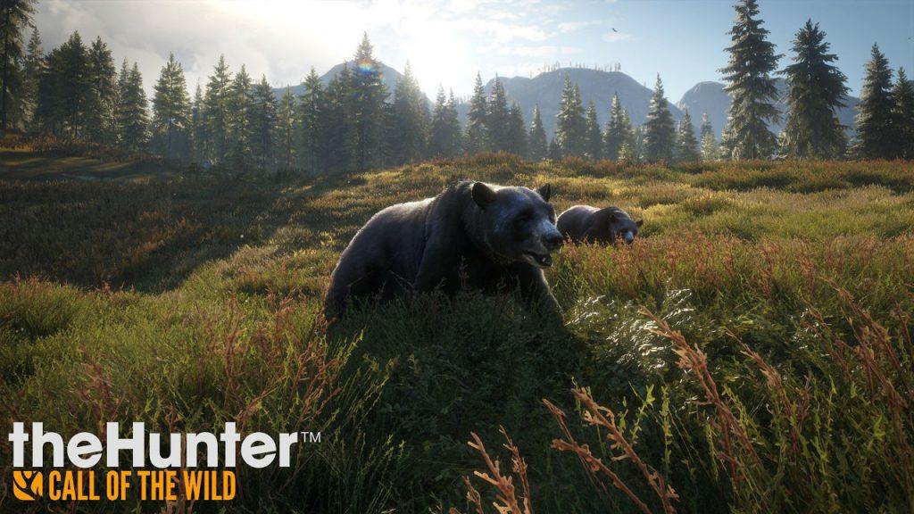 Где найти пещеры на карте Medved Taiga в The Hunter: Call of the Wild