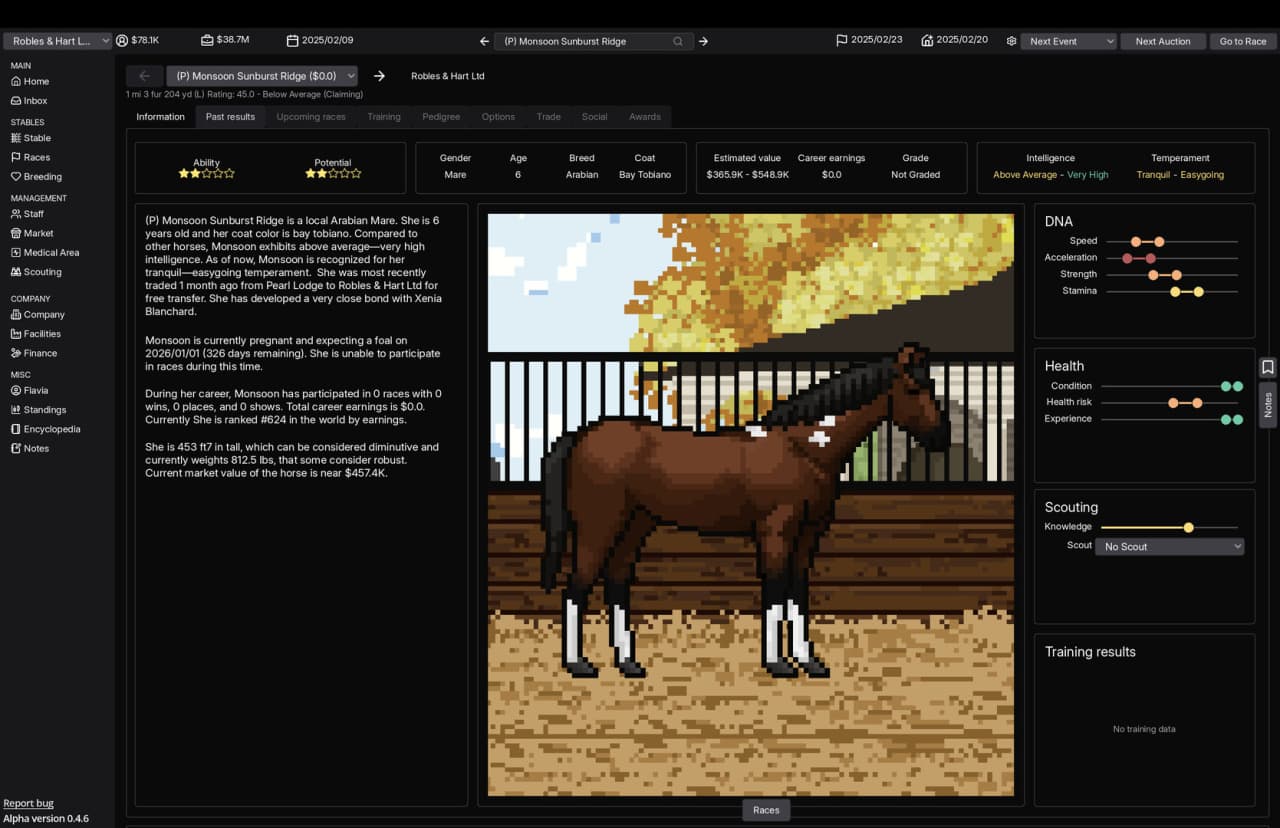 Horse Racing Manager - скриншот 6