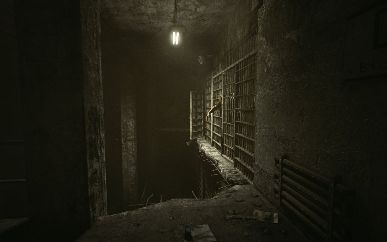 Outlast (+Whistleblower) - скриншот 8