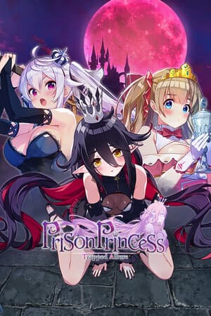 Prison Princess: Trapped Allure - описание, особенности и порядок запуска