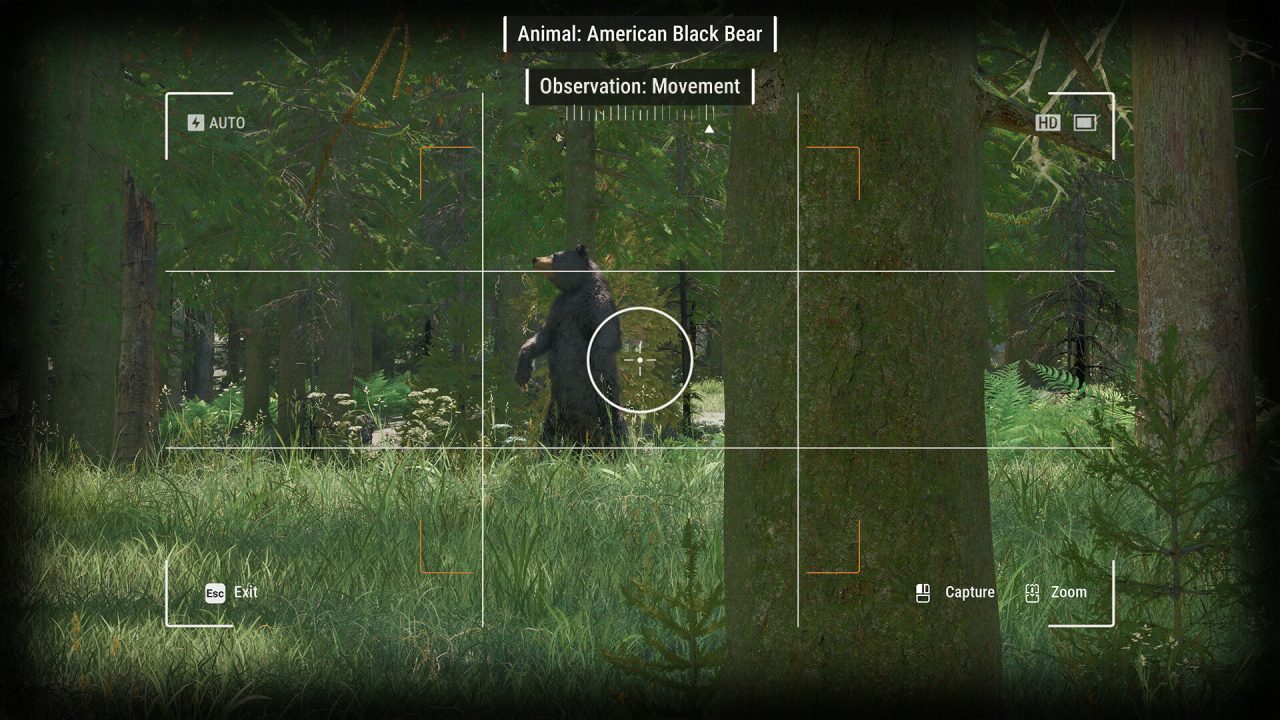 Ranger's Path: National Park Simulator - скриншот 9