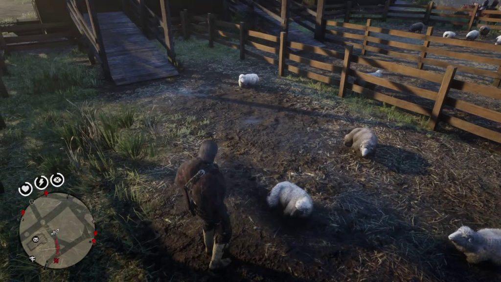 Red Dead Redemption 2 - как получить идеальную овечью шкуру