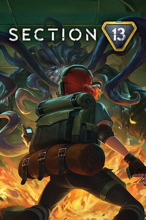 Section 13 - последняя версия на ПК