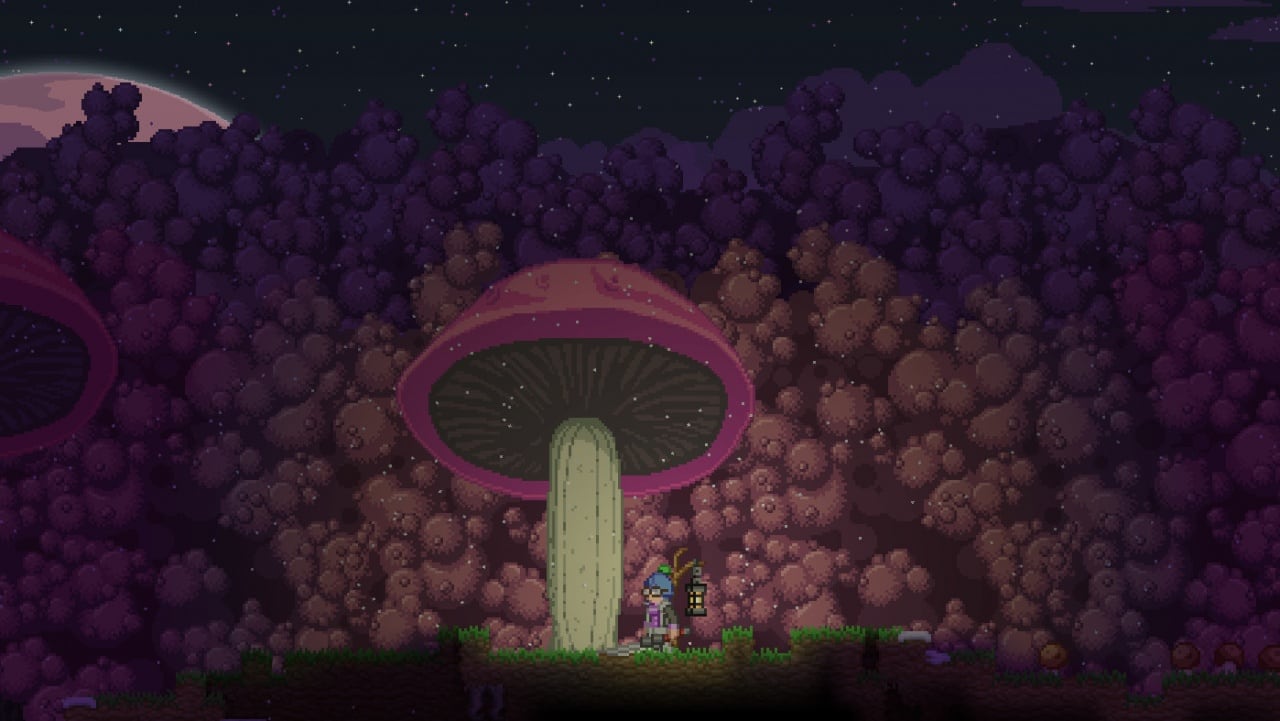 Starbound - скриншот 6