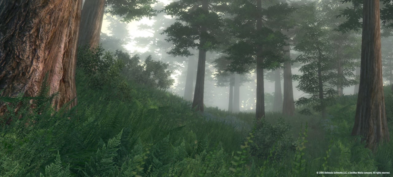 The Elder Scrolls 4: Oblivion Game of the Year Edition - скриншот 1