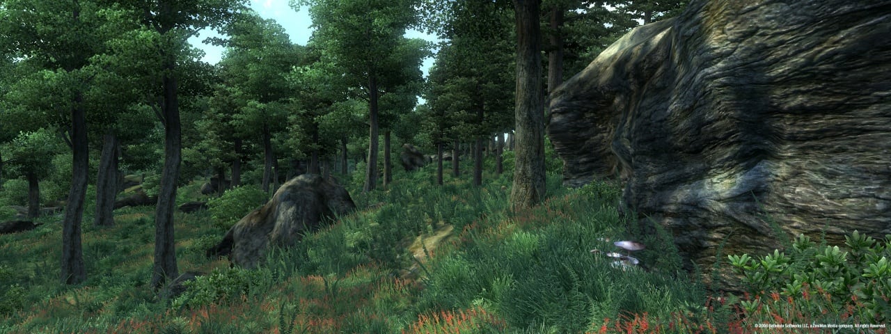 The Elder Scrolls 4: Oblivion Game of the Year Edition - скриншот 2