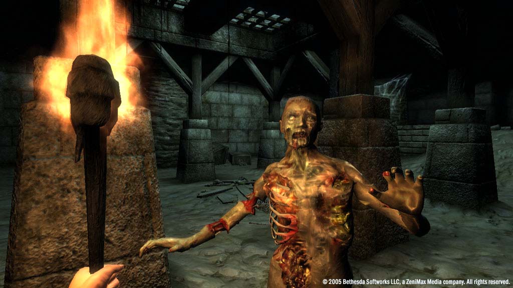 The Elder Scrolls 4: Oblivion Game of the Year Edition - скриншот 6