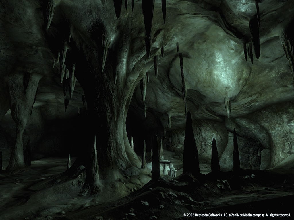 The Elder Scrolls 4: Oblivion Game of the Year Edition - скриншот 10