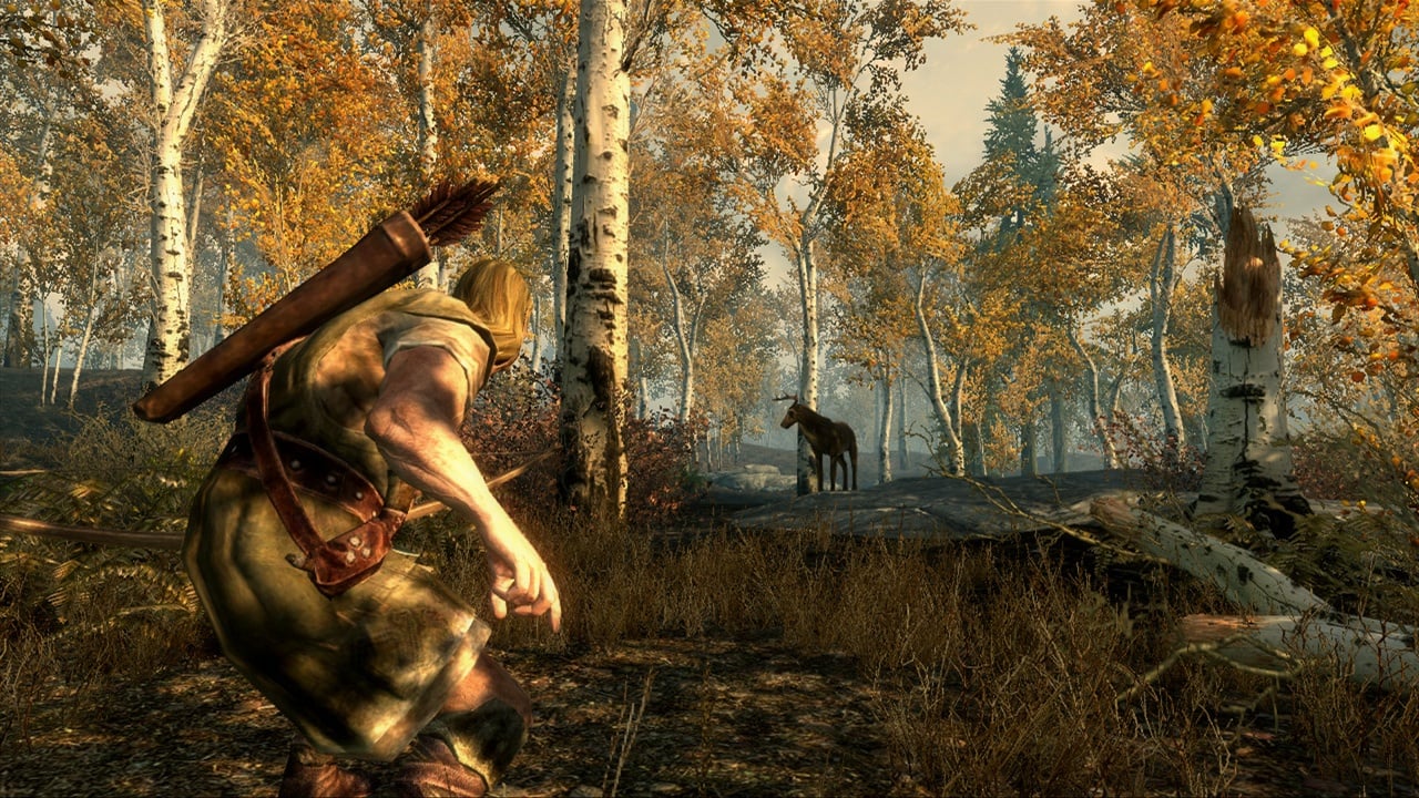 The Elder Scrolls 5: Skyrim - скриншот 5