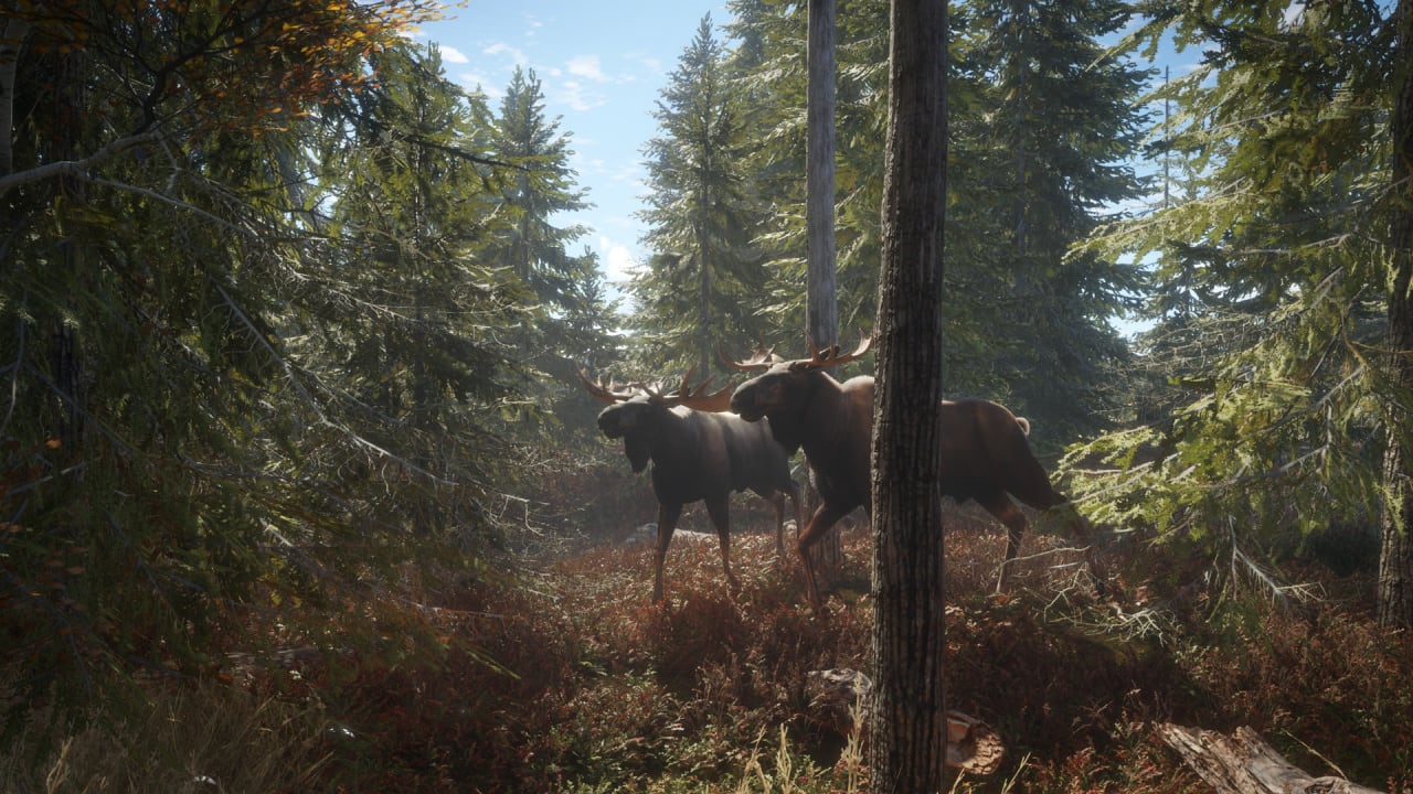 theHunter: Call of the Wild - скриншот 1