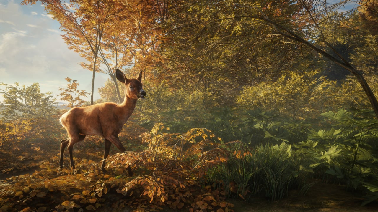 theHunter: Call of the Wild - скриншот 12