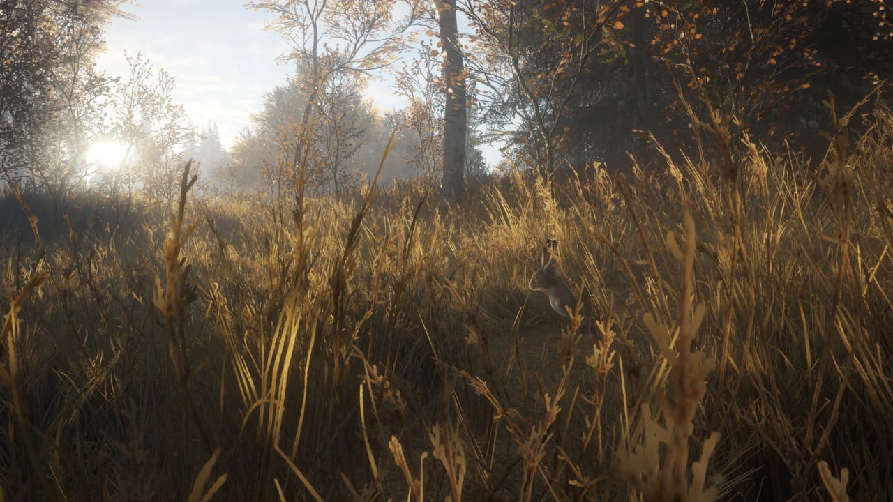 theHunter: Call of the Wild - скриншот 7