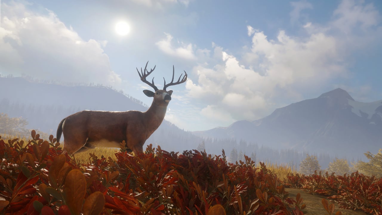theHunter: Call of the Wild - скриншот 9