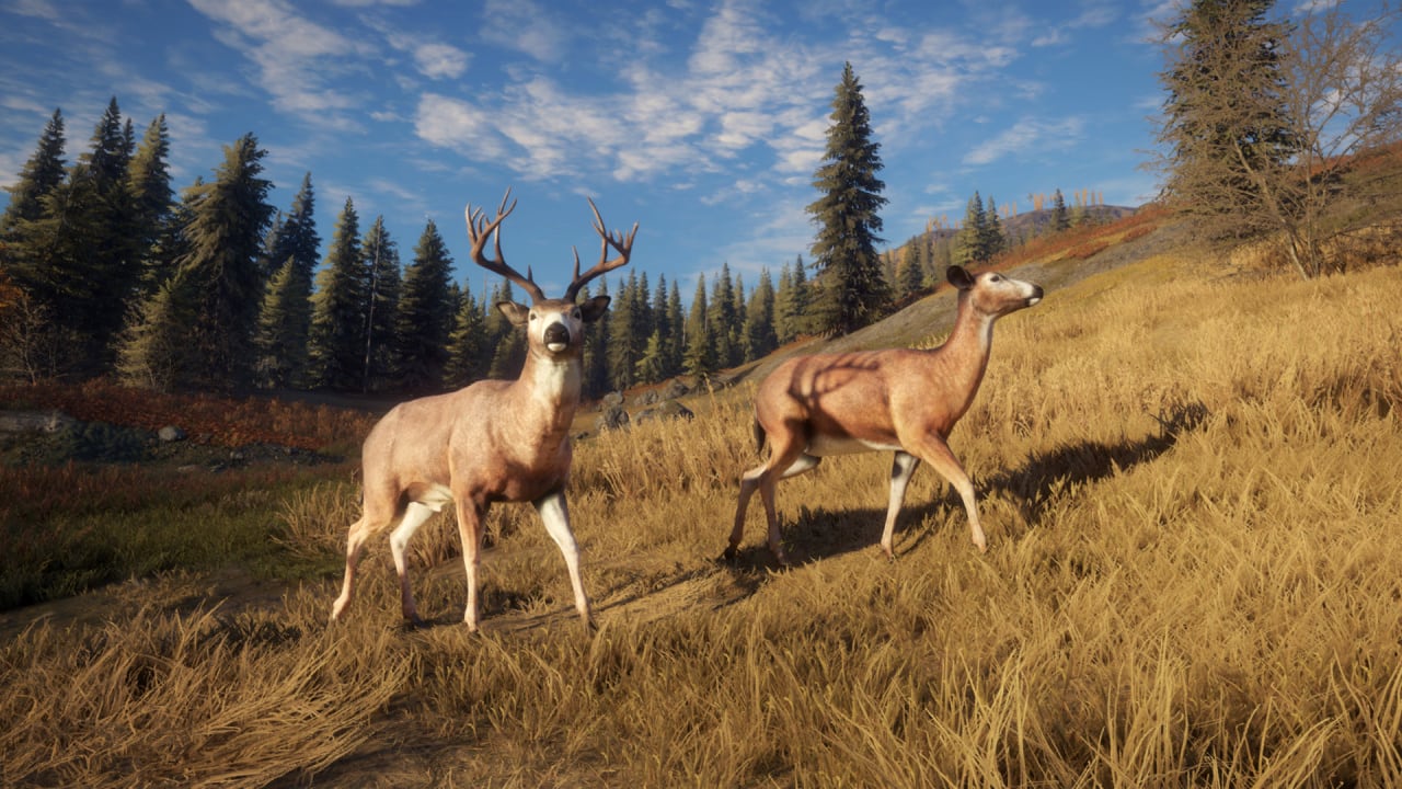 theHunter: Call of the Wild - скриншот 10