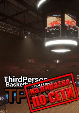 Third Person Basketball Court: особенности и игровой процесс