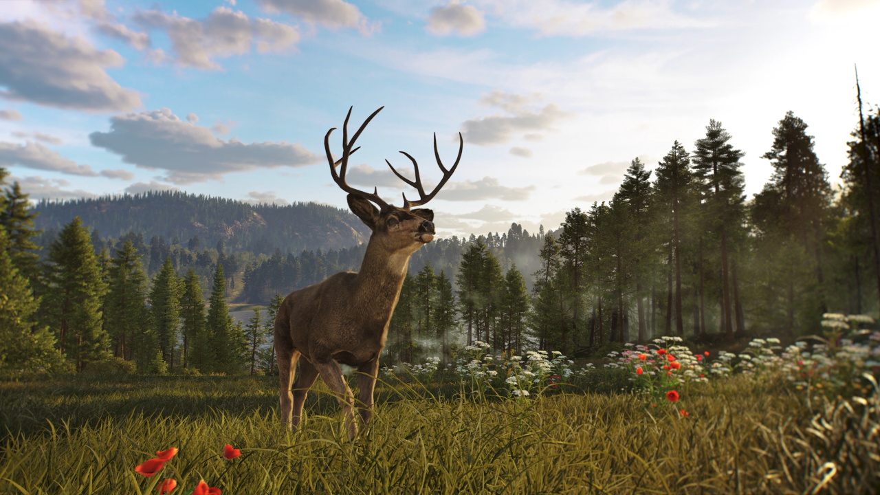 Way of the Hunter 2 - скриншот 1