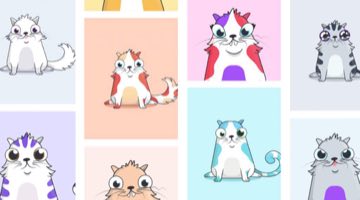 Гайд Cryptokitties: что такое Крипто Котики
