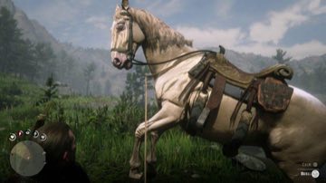 Red Dead Redemption 2 - где найти лошадь Бьюэл