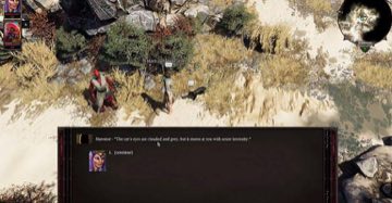 Спасение черной кошки в Divinity: Original Sin 2